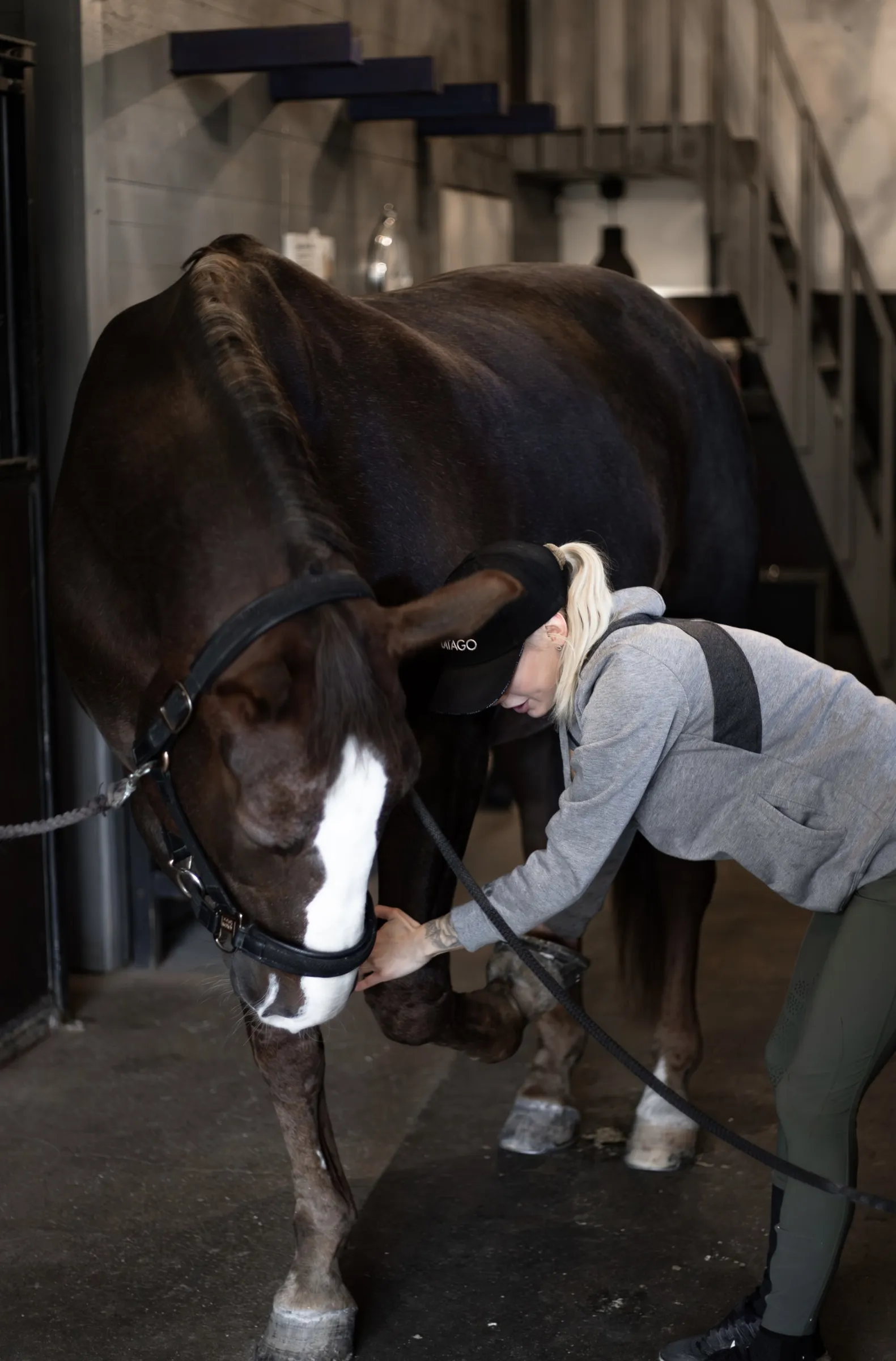 Kuvassa on tummanruskea hevonen, jolla on valkoinen läsi, ja vaaleahiuksinen nainen, joka on pukeutunut harmaaseen huppariin ja vihreisiin housuihin. Nainen on kumartunut hevosen eteen ja näyttää tarkistavan sen jalkoja. Taustalla näkyy metalliset portaat ja seinä. Valo on pehmeää ja epätasaista.