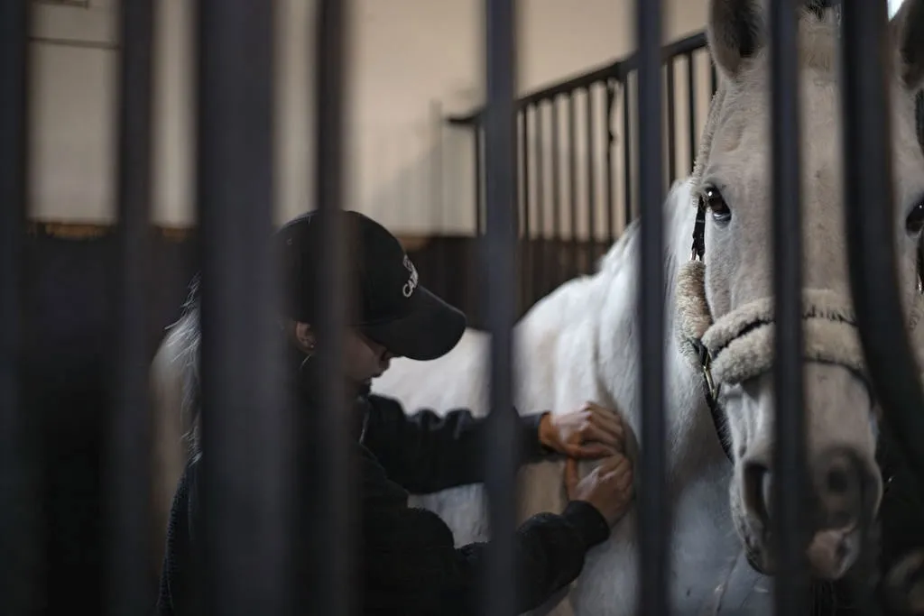 Kuva esittää naista hoitamassa valkoista hevosta tallissa, näkymä on rautaisten tallin porttien läpi. Nainen on pukeutunut tummiin vaatteisiin ja hänellä on lippalakki päässään. Hevonen on varustettu suitsilla. Valo on pehmeää ja epätasaista.